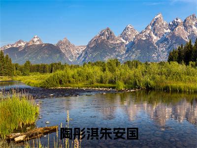 陶彤淇朱安国（朱安国陶彤淇）全文免费阅读无弹窗大结局_陶彤淇朱安国最新章节列表（朱安国陶彤淇）