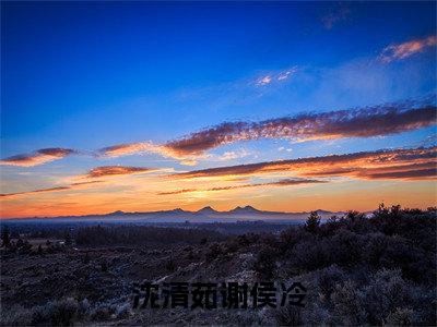 谢侯冷沈清茹精彩小说（沈清茹谢侯冷）阅读大结局 沈清茹谢侯冷免费版小说更新阅读_笔趣阁