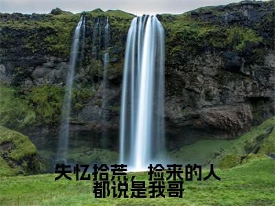 失忆拾荒，捡来的人都说是我哥（月玥）全文免费阅读_失忆拾荒，捡来的人都说是我哥全文阅读_笔趣阁（月玥）