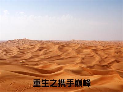 沈沐风（重生之携手巅峰）全文免费阅读_重生之携手巅峰最新章节小说免费阅读_笔趣阁沈沐风