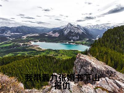 乔木（我带着九张婚书下山报仇）全文免费阅读无弹窗大结局_乔木全文免费阅读（我带着九张婚书下山报仇）最新章节列表_笔趣阁（乔木）