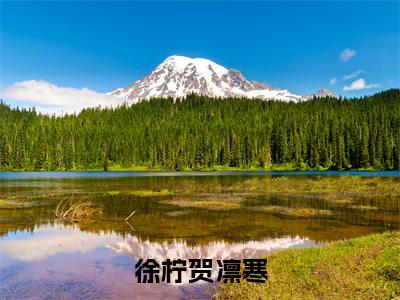 徐柠贺凛寒（贺凛寒徐柠）小说全文免费阅读-贺凛寒徐柠小说最新章节完整版
