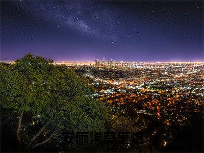 安雨浠莫呈煜小说全文-莫呈煜安雨浠无弹窗免费阅读