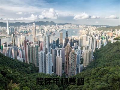 柳寒烟程锦年为柳寒烟程锦年的小说叫什么-最新小说程锦年柳寒烟全文阅读