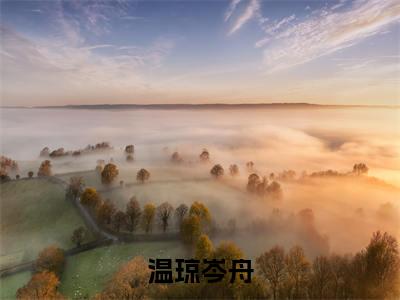 温琼岑舟小说全文免费阅读-（温琼岑舟）温琼岑舟精选小说大结局阅读