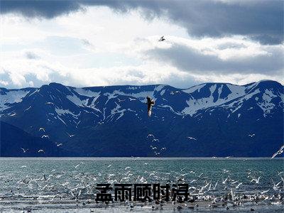 孟雨顾时浔顾时浔孟雨正版小说全文阅读 顾时浔孟雨全文免费完整版