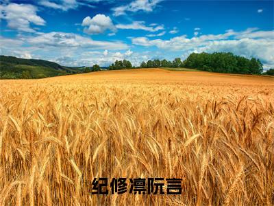 纪修凛阮言小说最新试读_阮言纪修凛小说名是（纪修凛阮言）_笔趣阁
