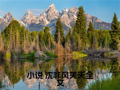 洪荒巨龟：悟性逆天，加入聊天群（ 沈非风笑天）全文免费阅读无弹窗_ 沈非风笑天小说_笔趣阁