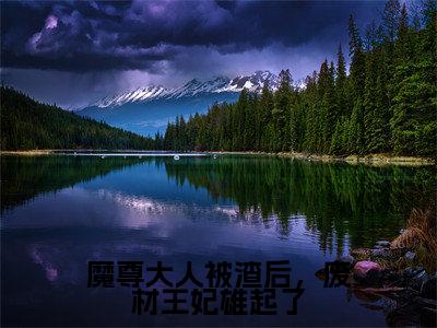 魔尊大人被渣后，废材王妃雄起了小说（夜九天君夭夭）全文免费阅读无弹窗大结局_魔尊大人被渣后，废材王妃雄起了全文免费完结版阅读（夜九天君夭夭）