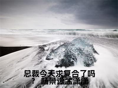 总裁今天求复合了吗？（ 杨景逸孟潇潇）全文免费阅读无弹窗大结局_总裁今天求复合了吗？最新章节列表_笔趣阁（ 杨景逸孟潇潇）