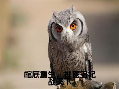 棺底重生，神医丑妃战天下满分热推小说 -楚昭棺底重生，神医丑妃战天下小说全本已完结