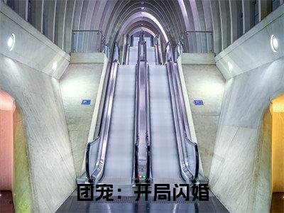  夏南溪战承砚长篇免费小说，团宠：开局闪婚，身价飙升最新章节在线阅读