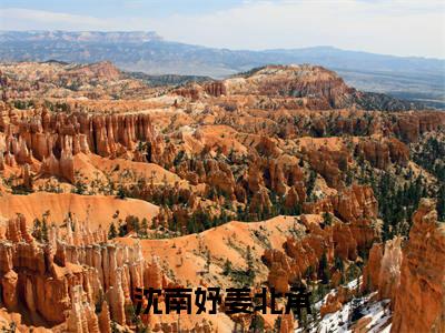 沈南妤姜北承(姜北承沈南妤)全文免费阅读无弹窗大结局_（姜北承沈南妤）的小说（沈南妤姜北承）最新章节列表