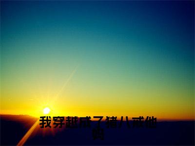 小说我穿越成了猪八戒他妈免费在线阅读-小说主角叫夏梨浅的小说完整版免费读全文