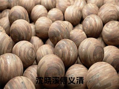 傅义清沈晓溪（沈晓溪傅义清）全文免费阅读无弹窗大结局_沈晓溪傅义清最新章节列表_笔趣阁（傅义清沈晓溪）