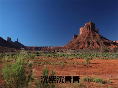 救命！顶级豪门一家都是女儿奴（ 沈紫沈青青）全文免费阅读_ 沈紫沈青青（救命！顶级豪门一家都是女儿奴）最新章节列表笔趣阁