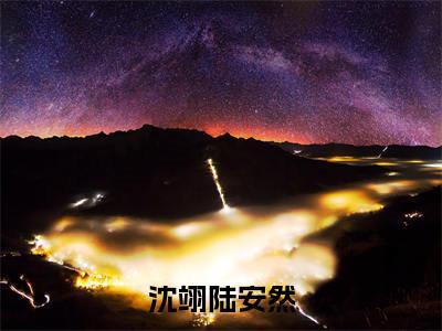 沈翊陆安然小说（陆安然沈翊）全文免费阅读_（沈翊陆安然小说）陆安然沈翊小说精彩在线赏析