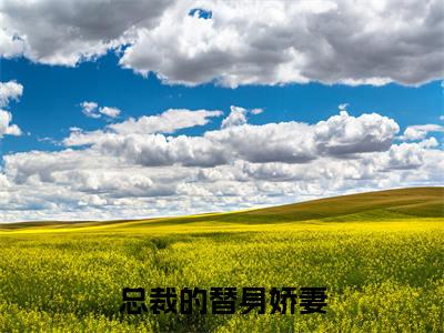 林月沈兰舟（总裁的替身娇妻）是什么小说_主角是（林月沈兰舟）的小说（总裁的替身娇妻）最新章节无弹窗阅读