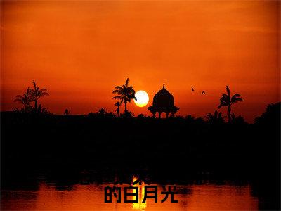 陆总，太太才是那晚的白月光叶佳禾陆景墨正版小说全文阅读 叶佳禾陆景墨全文免费完整版