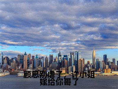 顾哲宇许妍在线阅读（顾总别虐了，许小姐嫁给你哥了）全文免费阅读_顾总别虐了，许小姐嫁给你哥了最新章节列表_笔趣阁