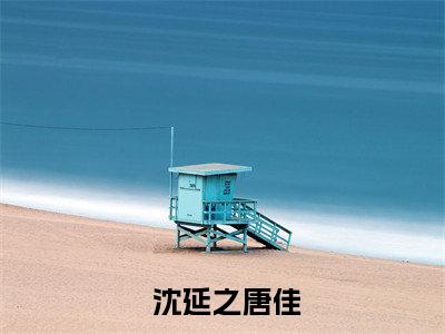 触不可及沈延之唐佳整篇版阅读全文小说（ 沈延之唐佳）-完结版热文 沈延之唐佳（触不可及沈延之唐佳整篇版阅读）小说免费阅读