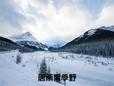 唐雨絮季野小说好看吗-唐雨絮季野季野唐雨絮热门小说大结局阅读