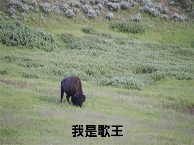 我是歌王（白辰）老书虫2023良心推荐小说-我是歌王（白辰）小说精彩免费试读