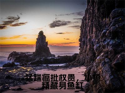 猛踹疯批权贵，小撩精藏身鱼缸（沉婳凤郁商）全文免费阅读无弹窗大结局_（沉婳凤郁商阅读无弹窗）猛踹疯批权贵，小撩精藏身鱼缸小说_笔趣阁