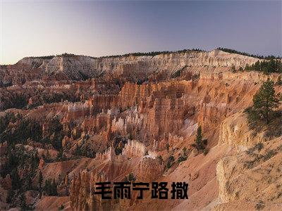 毛雨宁路撒全文免费阅读无弹窗大结局_(毛雨宁路撒阅读全文大结局)毛雨宁路撒最新章节列表（毛雨宁路撒）