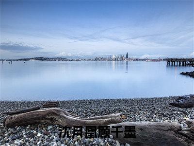 沈月凰顾千墨（顾千墨沈月凰）多人推荐-顾千墨沈月凰沈月凰顾千墨好看的小说完整版全文
