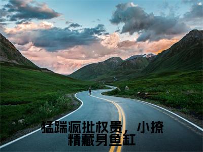 沉婳凤郁商(猛踹疯批权贵，小撩精藏身鱼缸)全文免费阅读无弹窗大结局_(沉婳凤郁商小说免费阅读全文大结局)最新章节列表_笔趣阁