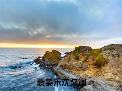 小说（裴晏禾沈夕澜）沈夕澜裴晏禾全文阅读_小说裴晏禾沈夕澜免费阅读（沈夕澜裴晏禾）笔趣阁