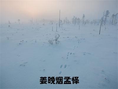 姜晚烟孟怿(孟怿姜晚烟)免费全文阅读小说_姜晚烟孟怿免费在线阅读（孟怿姜晚烟）小说最新章节列表-笔趣阁（孟怿姜晚烟）