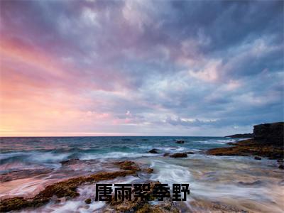 唐雨絮季野（季野唐雨絮）全文完整版免费阅读_季野唐雨絮（唐雨絮季野全文免费阅读）最新章节列表_笔趣阁