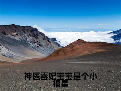 夏遥萧玄小说（神医毒妃宝宝是个小福星已完结小说全集完整版大结局）神医毒妃宝宝是个小福星小说全文阅读笔趣阁
