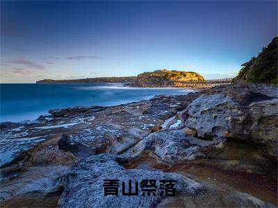 青山祭落小说全文免费阅读-沈苏栩岑夏小说最新章节列表（青山祭落）