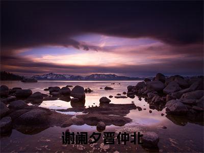 晋仲北谢阑夕是哪部小说的主角，谢阑夕晋仲北全文无弹窗完整版阅读