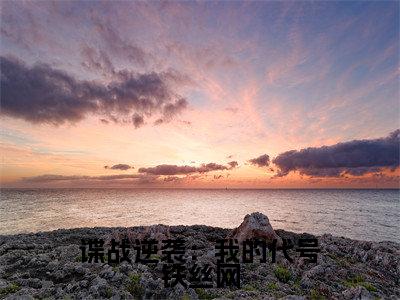 谍战逆袭：我的代号铁丝网（刘长川王奎）最新章节在线阅读-刘长川王奎小说谍战逆袭：我的代号铁丝网在哪里可以看