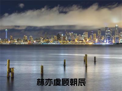 林亦虞顾朝辰（顾朝辰林亦虞）小说全文无删减版_林亦虞顾朝辰最新章节列表_笔趣阁（顾朝辰林亦虞）