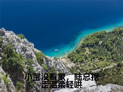 小宝没有家，陆总抱走温柔轻哄高赞小说（陆景淮苏瑾时）完结阅读_小宝没有家，陆总抱走温柔轻哄全文完整版免费阅读最新章节列表