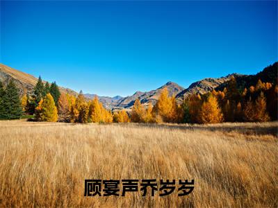 顾宴声乔岁岁小说全文免费阅读（乔岁岁顾宴声）全文免费阅读无弹窗大结局_（顾宴声乔岁岁）乔岁岁顾宴声结局最新章节列表_笔趣阁（乔岁岁顾宴声）