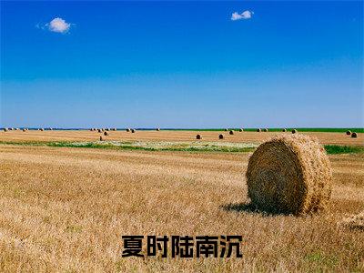 夏时陆南沉（夏时陆南沉）全文免费完结版阅读_（夏时陆南沉）夏时陆南沉最新章节列表笔趣阁（夏时陆南沉）