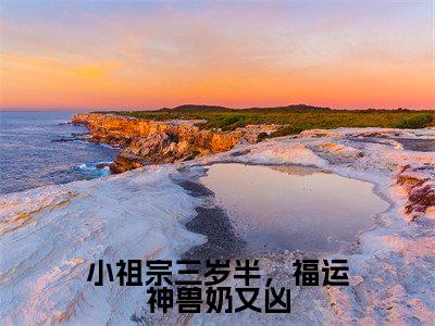 《小祖宗三岁半，福运神兽奶又凶》主角是苏酥全文免费阅读已完结