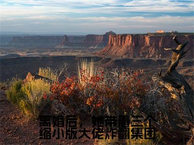 离婚后，她带着三个缩小版大佬炸翻集团在线阅读无弹窗_洛熙冷清寒最新章节列表_笔趣阁