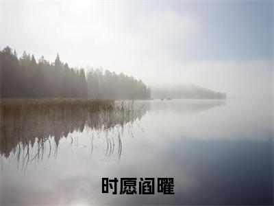 时愿阎曜全文免费阅读大结局_时愿阎曜（时愿阎曜）完整版在线赏析