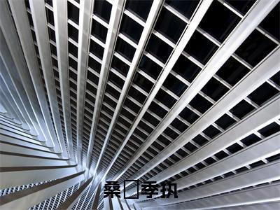 桑淣季执季执桑淣全文免费阅读无弹窗大结局_季执桑淣（桑淣季执）全文阅读_笔趣阁（桑淣季执）