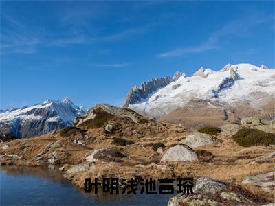 叶明浅池言琛好看的小说叶明浅池言琛在线阅读-叶明浅池言琛是什么小说《叶明浅池言琛》