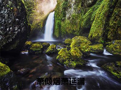 萧倾烟萧延渊全文免费阅读在线阅读 萧延渊萧倾烟全文免费阅读最新章节列表_笔趣阁