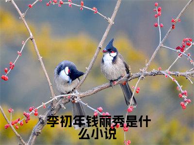 正道红途( 李初年钱丽秀)全文免费阅读无弹窗_正道红途（ 李初年钱丽秀）全文阅读-笔趣阁（正道红途）