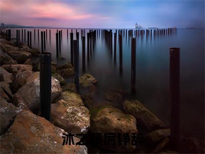 沐之晴厉铮辞（厉铮辞沐之晴大结局小说全集完整版）_（厉铮辞沐之晴小说）沐之晴厉铮辞全文阅读笔趣阁